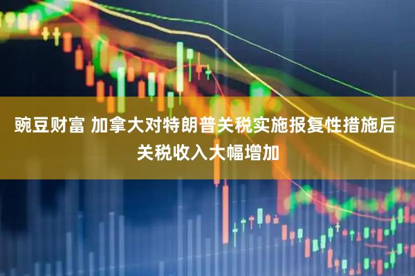 豌豆财富 加拿大对特朗普关税实施报复性措施后 关税收入大幅增加