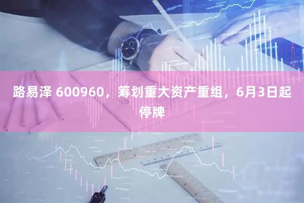 路易泽 600960，筹划重大资产重组，6月3日起停牌