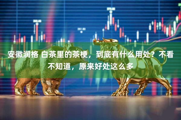 安徽润格 白茶里的茶梗，到底有什么用处？不看不知道，原来好处这么多