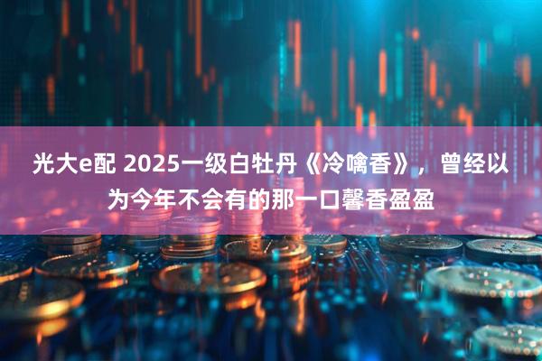 光大e配 2025一级白牡丹《冷噙香》，曾经以为今年不会有的那一口馨香盈盈