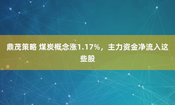 鼎茂策略 煤炭概念涨1.17%，主力资金净流入这些股